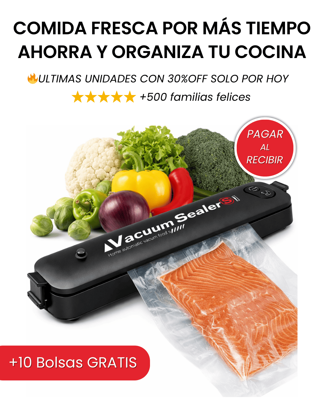 Sellador al vacío vacuum  + 10 bolsas