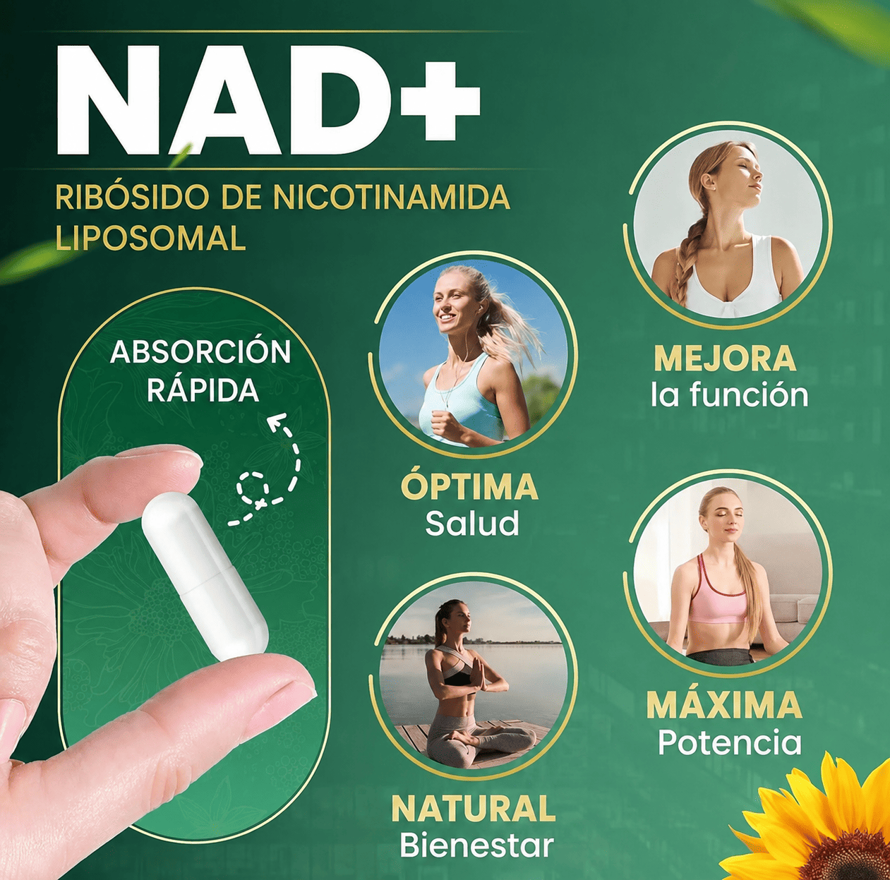 Nad Nicotinamida Resveratrol